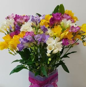 Meet your Posher, Nga